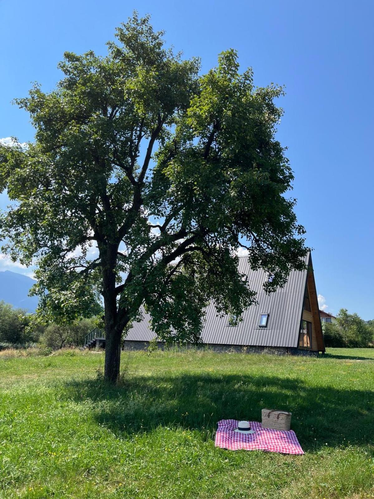 Vino Chalets Bran Sohodol  Bagian luar foto